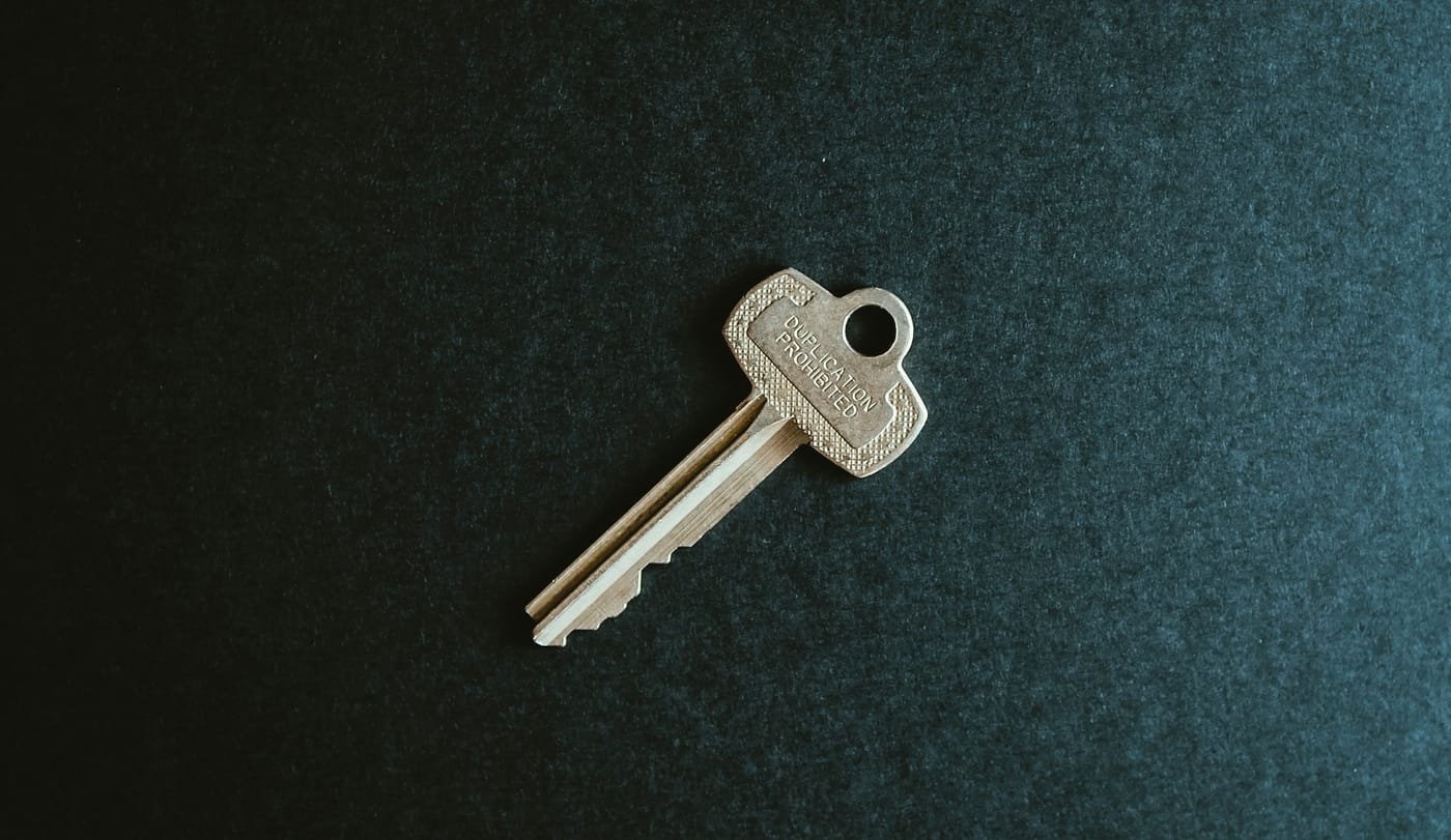 A single key stamped 'duplication prohibited' on a dark background, a metaphor for a vector that only works with the model that made it